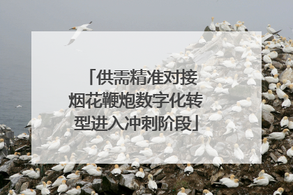 供需精准对接 烟花鞭炮数字化转型进入冲刺阶段